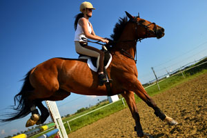 horse-training-jumping