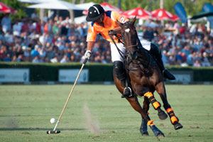 polo-horse-rider-taking-a-shot